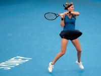 科维托娃在G2比赛中势不可挡，问鼎冠军引发热议！的简单介绍