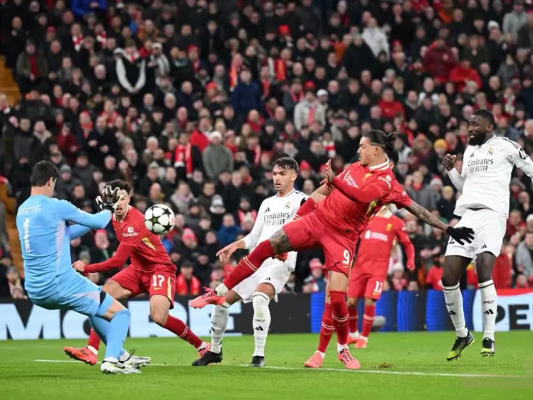 领先优势明显首场状态出色,利物浦观众沸腾!,哈兰德重返赛场上演精彩一战 领先优势明显首场状态出色,利物浦观众沸腾!,哈兰德重返赛场上演精彩一战